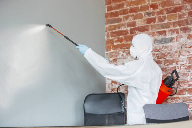 Best Commercial Mold Inspection  in Folly Beach, SC