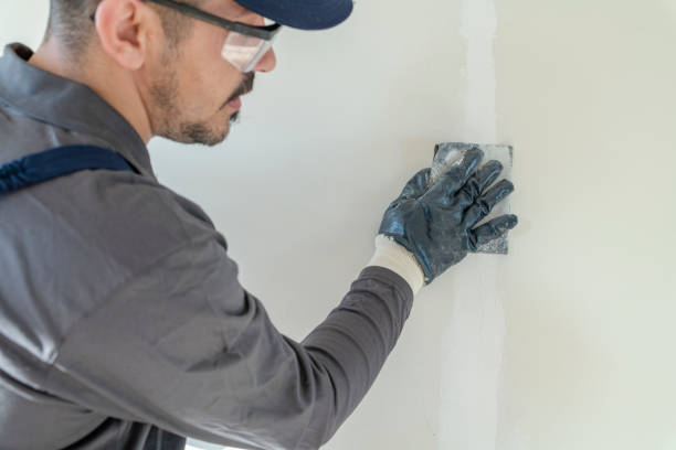 Best Air Quality Testing for Mold Spores  in Folly Beach, SC