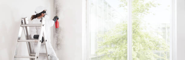 Best Real Estate Mold Inspection  in Folly Beach, SC
