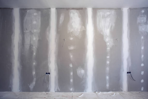 Professional Mold Removal in Folly Beach, SC